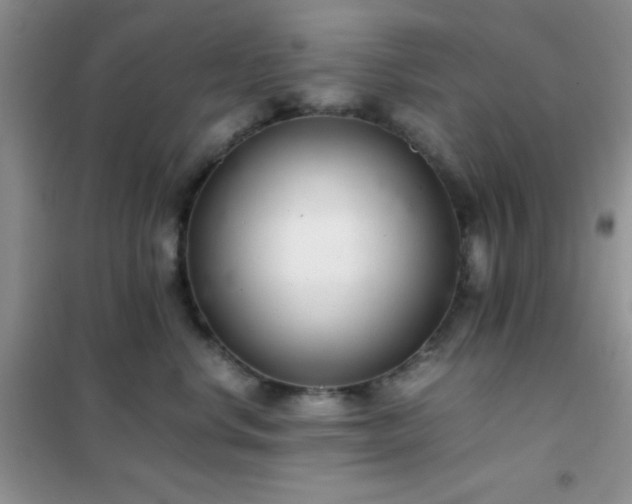 X0000102340668200808011142