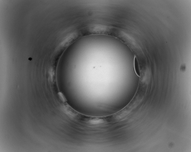 X0000102340669200808011142