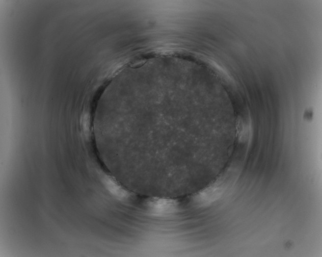 X0000102340670200808011142