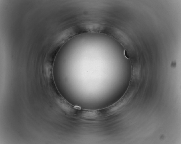 X0000102340671200808011142