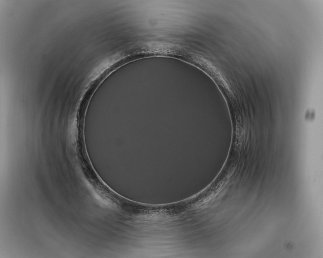 X0000102340674200808011141