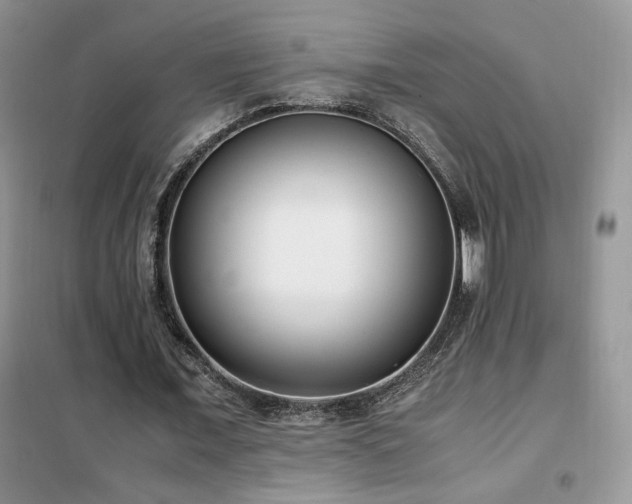 X0000102340675200808011141