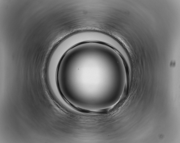 X0000102340677200808011141