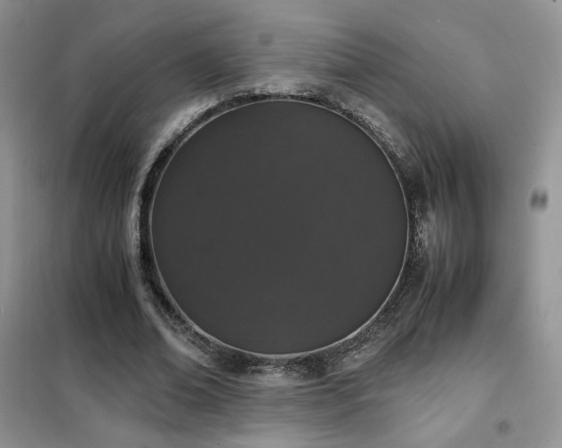 X0000102340678200808011141