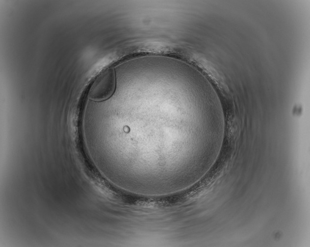 X0000102340679200808011141