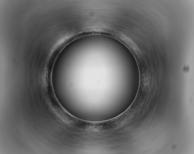 X0000102340680200808011141