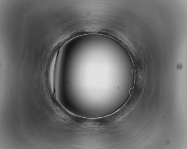 X0000102340681200808011141