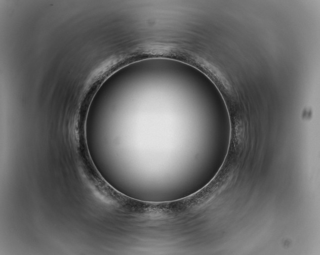 X0000102340682200808011141