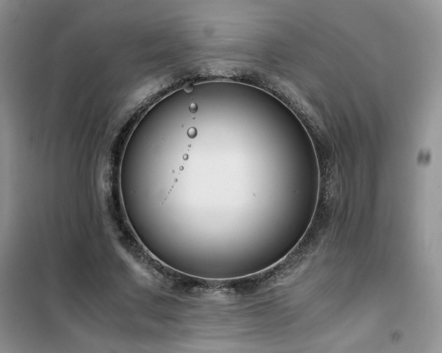 X0000102340683200808011141