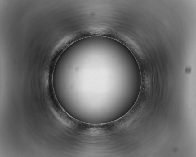 X0000102340686200808011141