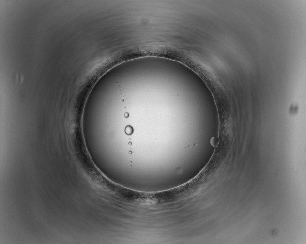 X0000102340687200808011141