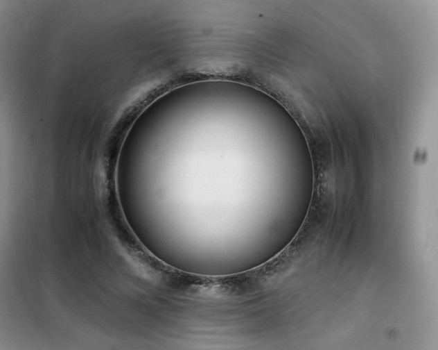 X0000102340688200808011141