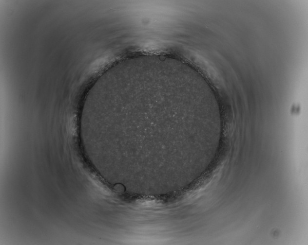 X0000102340689200808011141