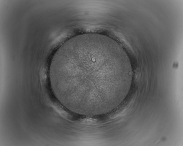 X0000102340691200808011141