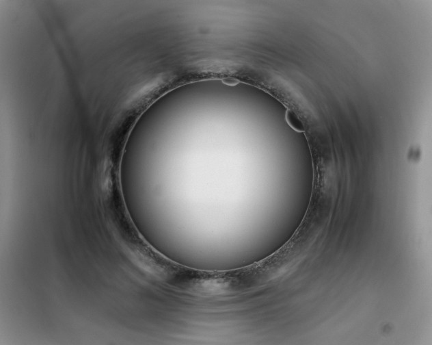 X0000102340692200808011141