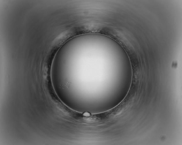 X0000102340693200808011141