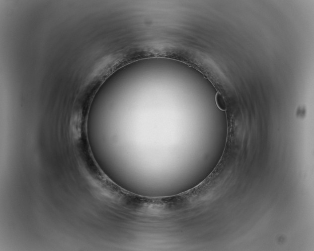 X0000102340694200808011141