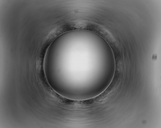 X0000102340697200808011141