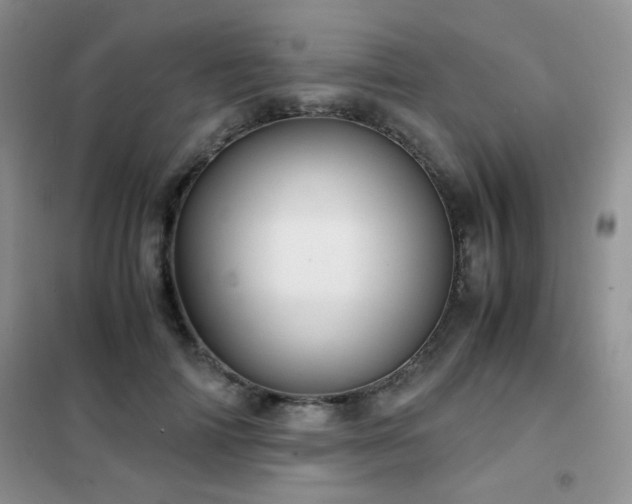 X0000102340698200808011141