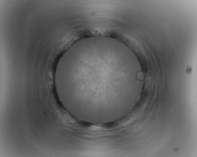 X0000102340699200808011141