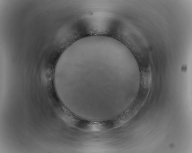 X0000102340701200808011141