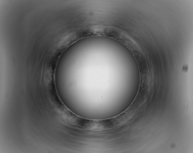 X0000102340702200808011141