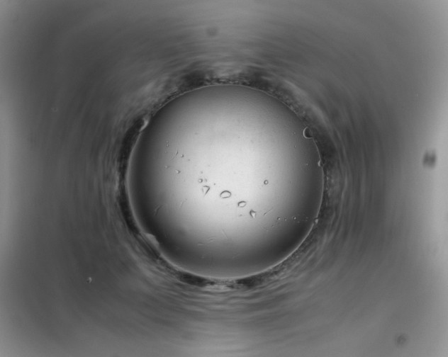 X0000102340703200808011141