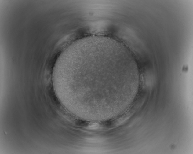 X0000102340705200808011141