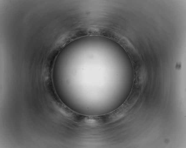 X0000102340706200808011141