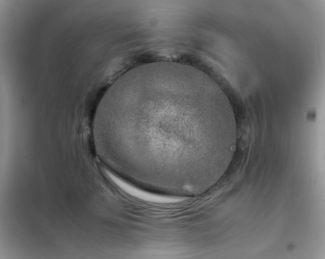 X0000102340707200808011141