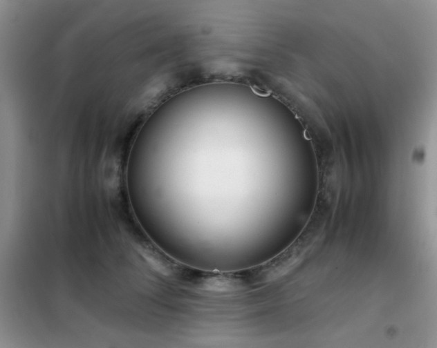 X0000102340708200808011141