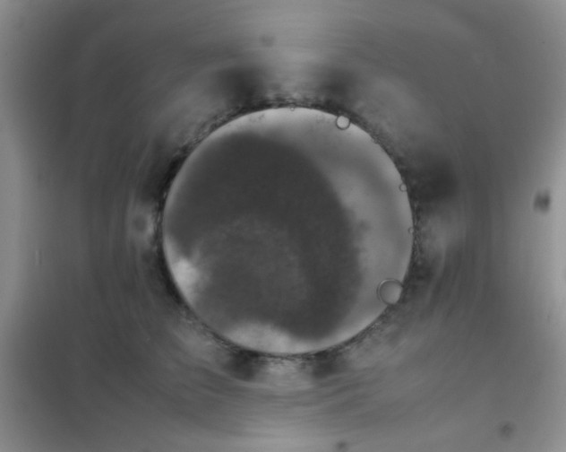 X0000102340709200808011141