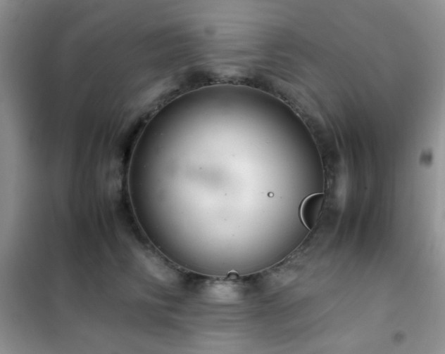 X0000102340710200808011141