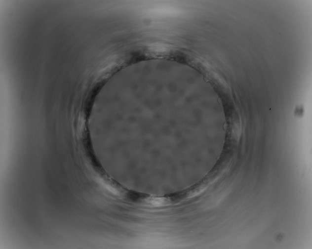 X0000102340711200808011141