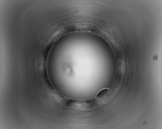 X0000102340712200808011141