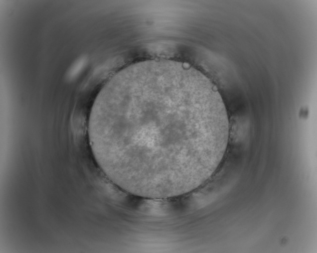 X0000102340713200808011141