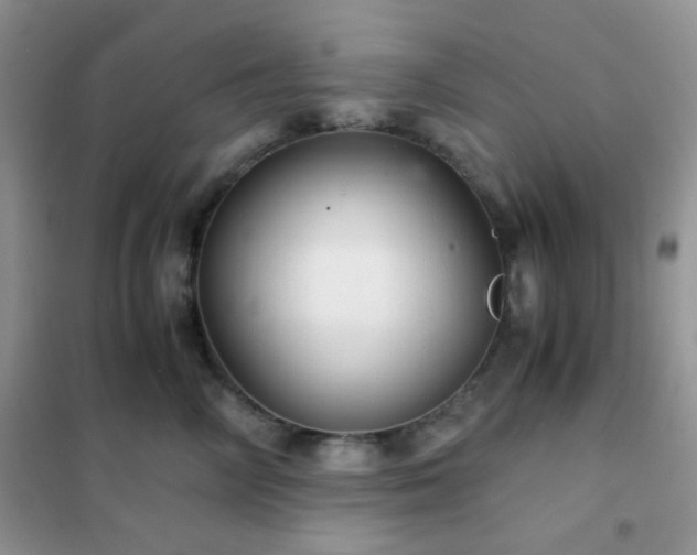 X0000102340714200808011141