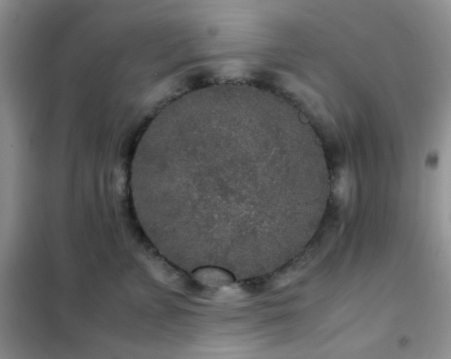 X0000102340715200808011141