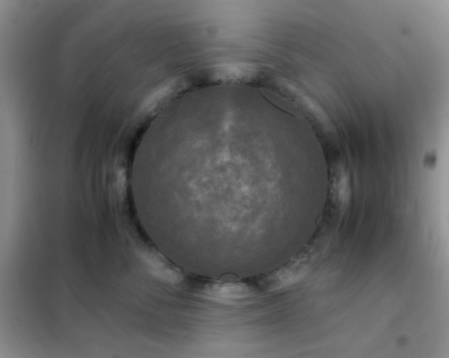 X0000102340716200808011141