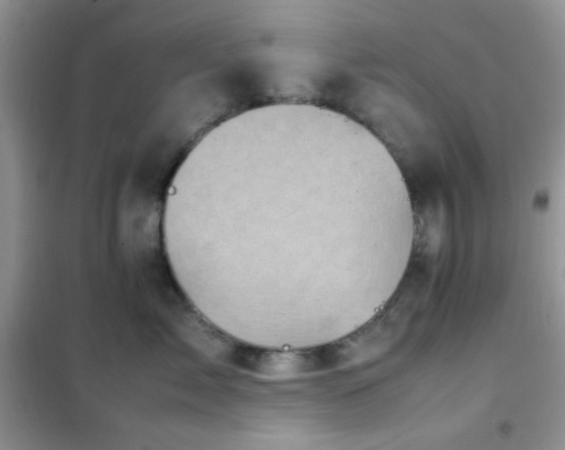 X0000102340717200808011141