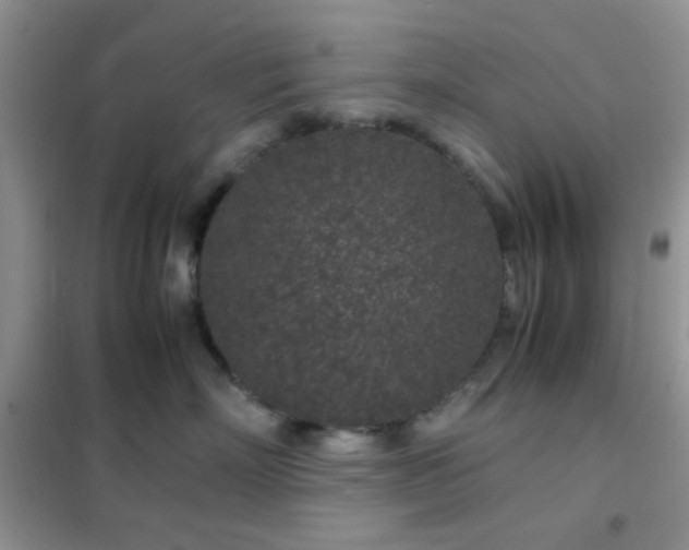 X0000102340718200808011141