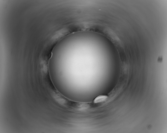 X0000102340719200808011141