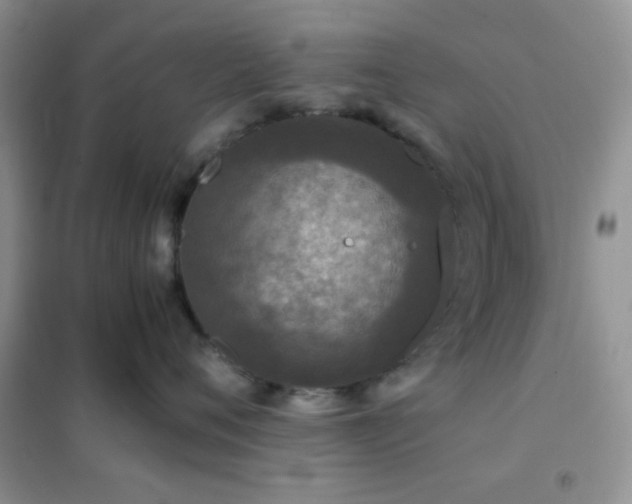 X0000102340720200808011140