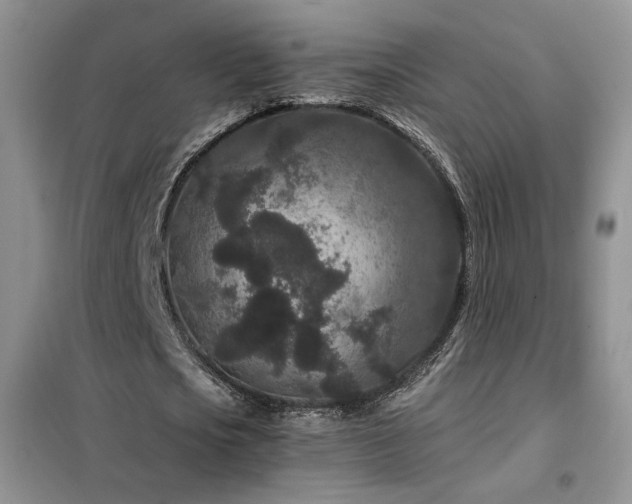 X0000102340721200808011140