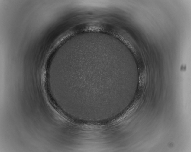 X0000102340722200808011140