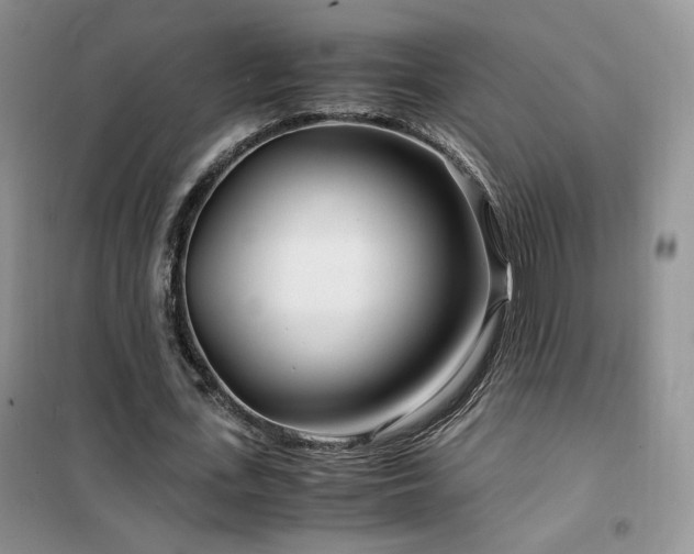 X0000102340723200808011140