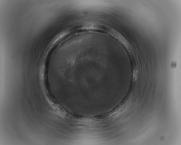 X0000102340724200808011140