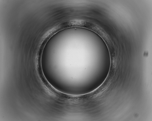 X0000102340725200808011140