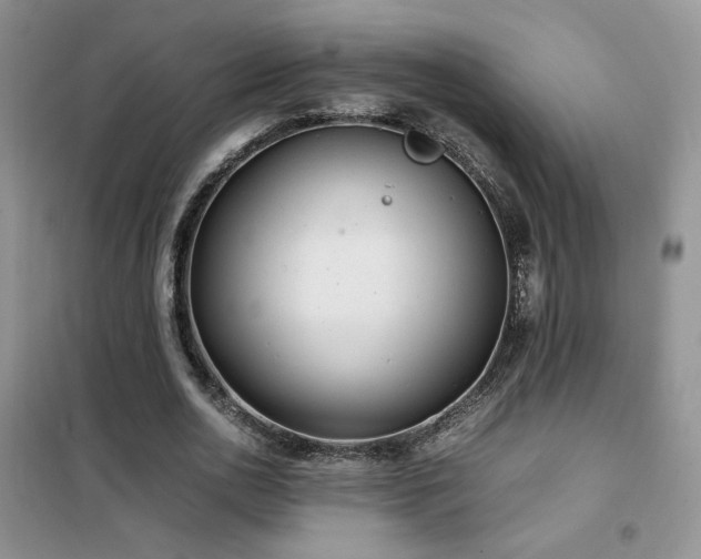 X0000102340726200808011140