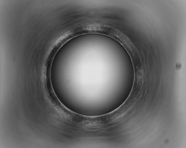 X0000102340727200808011140